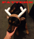 Crochet Pattern - Reindeer Hat for Dogs
