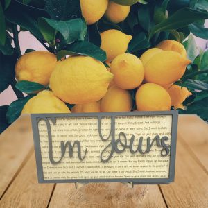 I'm Yours - Song Lyric Stand & Frame SVG File  - DIGITAL DOWNLOAD