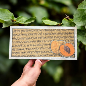 Peaches - Song Lyric Stand & Frame SVG File  - DIGITAL DOWNLOAD